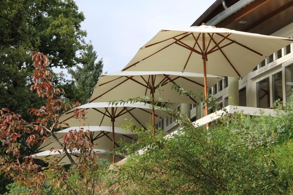 Hotel Rural Misarela 吉尔斯 外观 照片